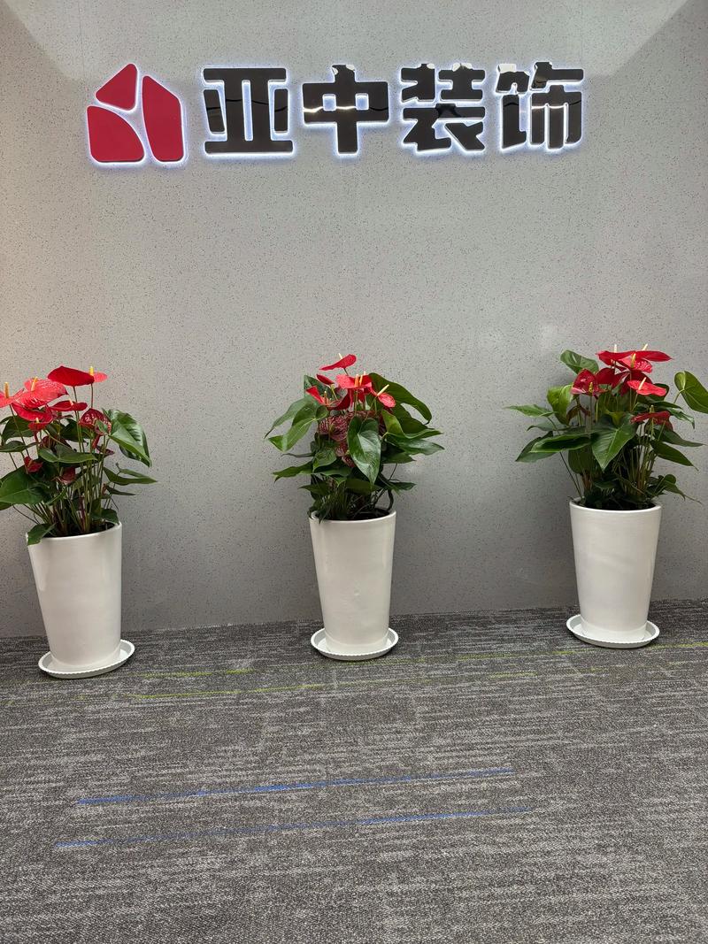 商务花篮在企业形象塑造中的重要性